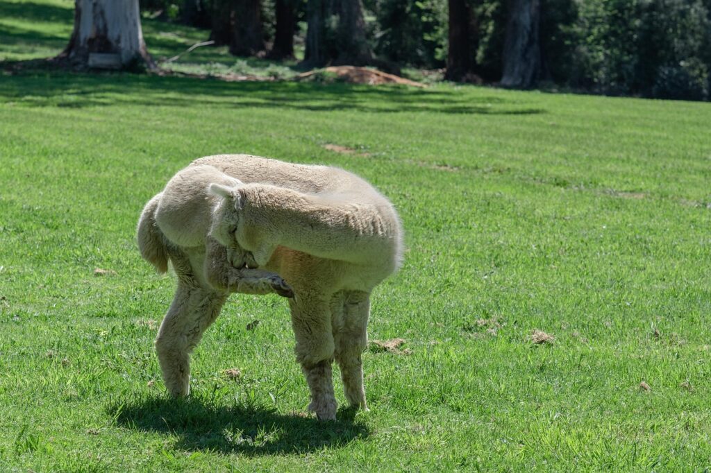 Scratchを使った小学生のプログラミングのメリットとは？