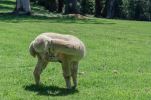 Scratchを使った小学生のプログラミングのメリットとは？