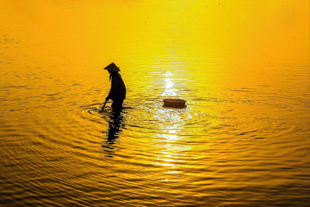 beeBotを使った小学生向けプログラミングの魅力とは？