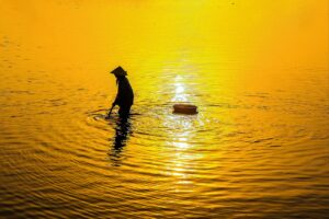 beeBotを使った小学生向けプログラミングの魅力とは？